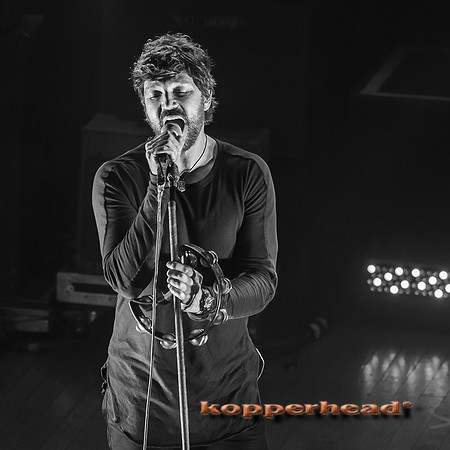 15211 11 2013 Kopperhead