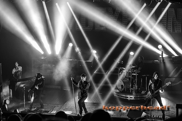 14347 11 2013 Kopperhead