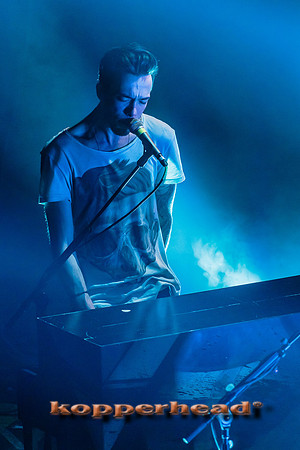 14902 11 2013 Kopperhead