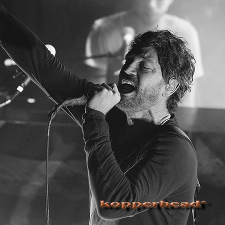 14438 11 2013 Kopperhead