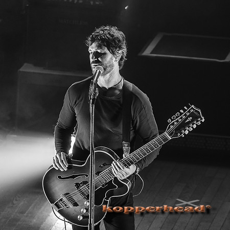 14989 11 2013 Kopperhead