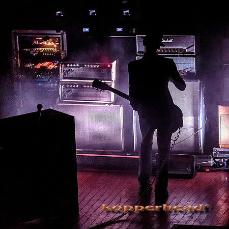 14149 11 2013 Kopperhead