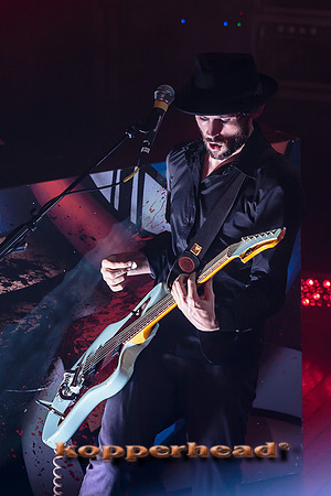 15187 11 2013 Kopperhead