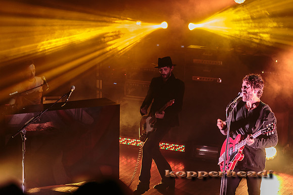 14255 11 2013 Kopperhead
