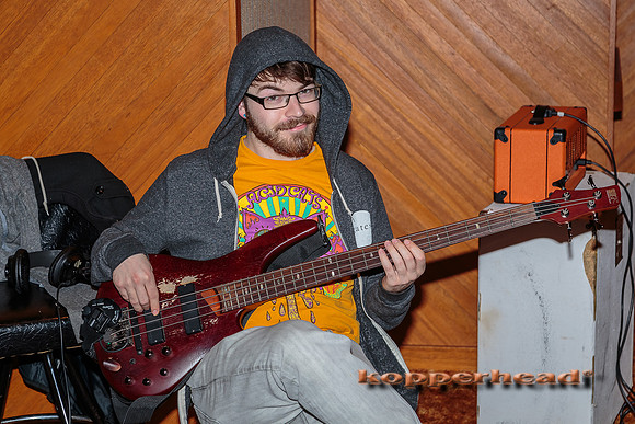 29343 01 2015 Kopperhead