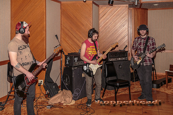 29664 02 2015 Kopperhead