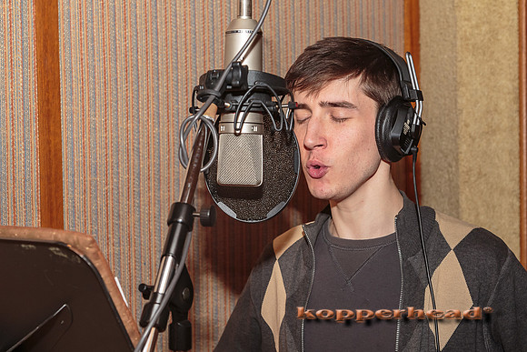 29425 01 2015 Kopperhead