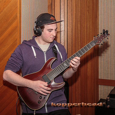 29366 01 2015 Kopperhead