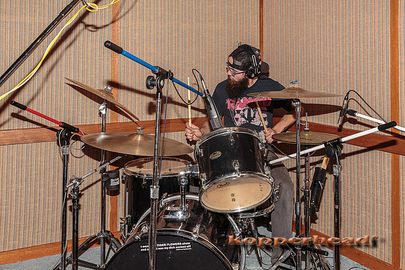 29668 02 2015 Kopperhead