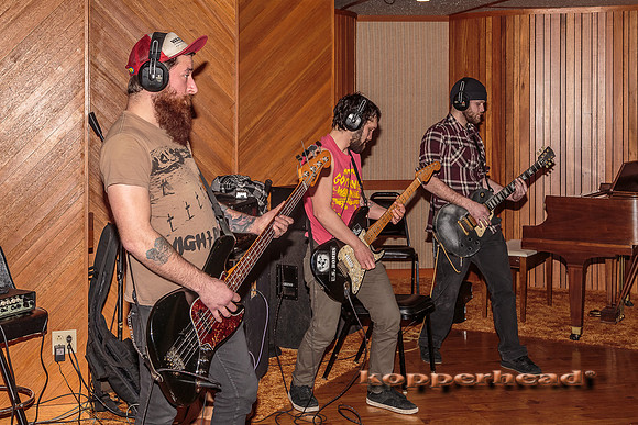 29672 02 2015 Kopperhead