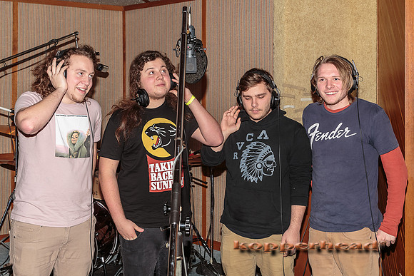29465 02 2015 Kopperhead
