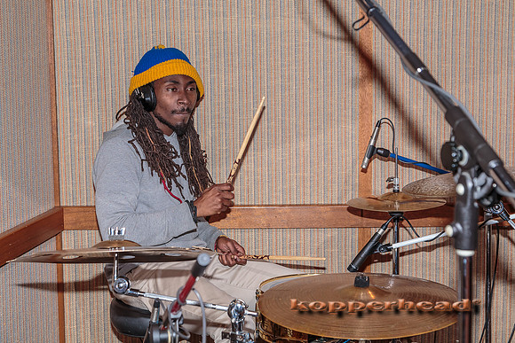 29593 02 2015 Kopperhead