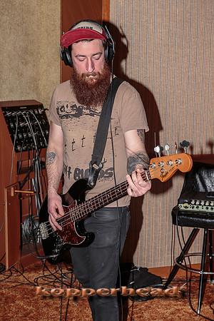 29667 02 2015 Kopperhead