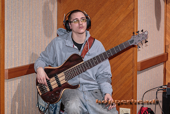 29602 02 2015 Kopperhead