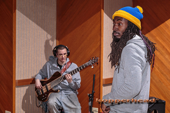 29603 02 2015 Kopperhead