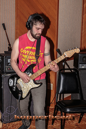 29666 02 2015 Kopperhead