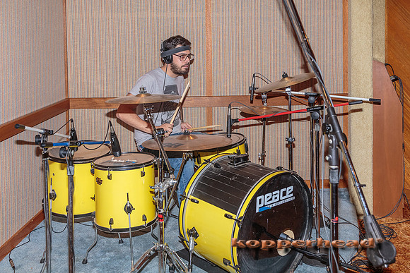 29572 02 2015 Kopperhead
