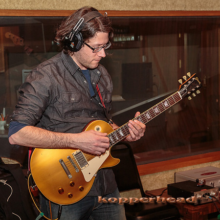 29398 01 2015 Kopperhead