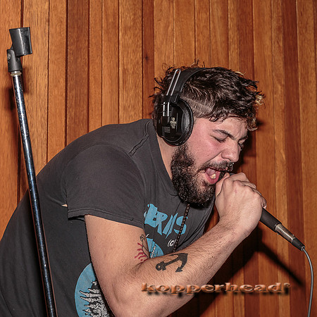 29680 02 2015 Kopperhead