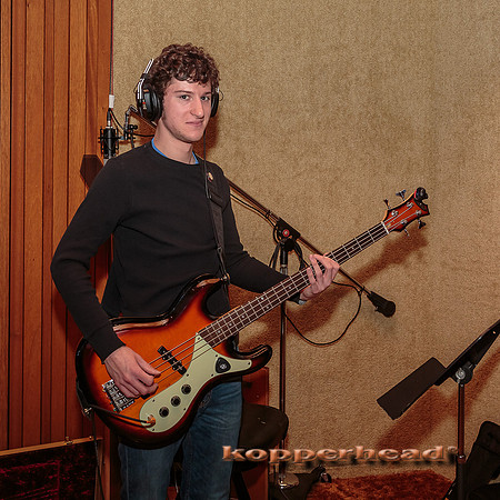 29372 01 2015 Kopperhead