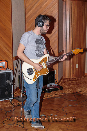 29576 02 2015 Kopperhead
