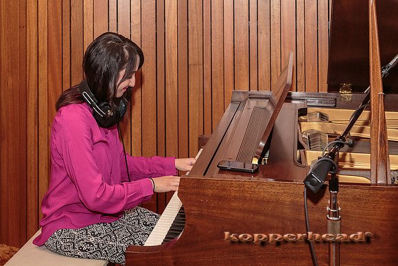 29350 01 2015 Kopperhead