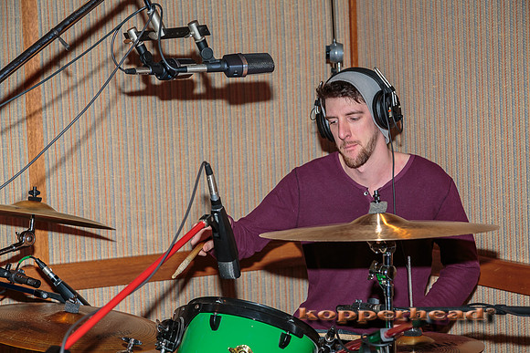 29342 01 2015 Kopperhead