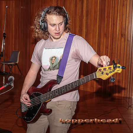 29453 02 2015 Kopperhead