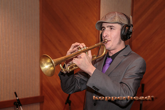 29437 01 2015 Kopperhead