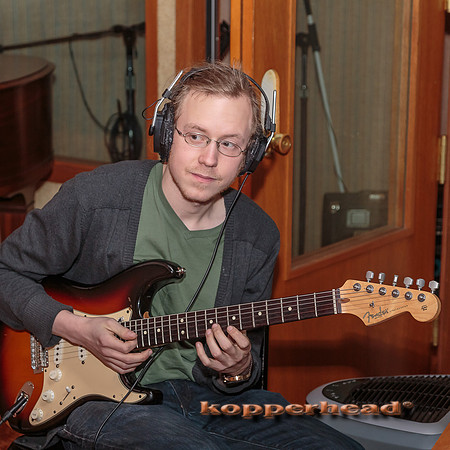29337 01 2015 Kopperhead