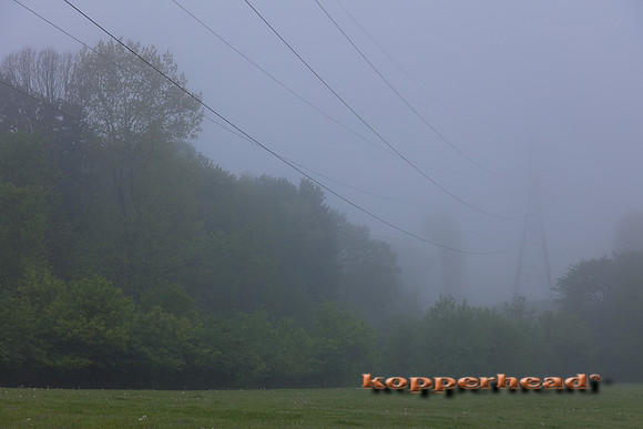 05993 05 2020 Kopperhead