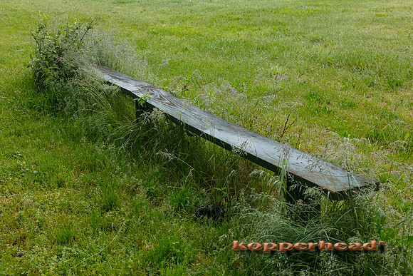 06006 05 2020 Kopperhead