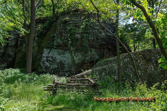 06515 05 2020 Kopperhead