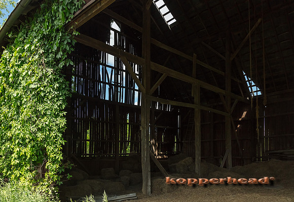 06503 05 2020 Kopperhead