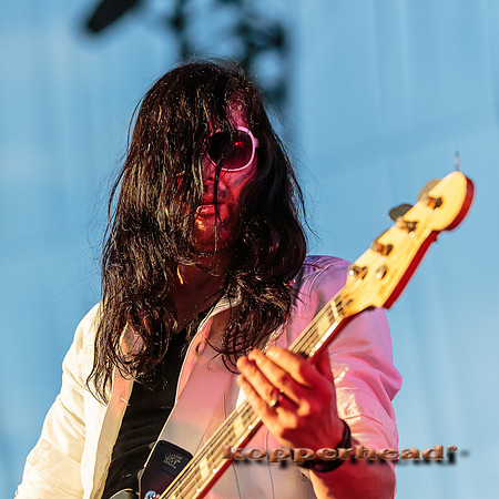 32894 05 2015 Kopperhead