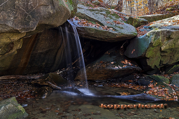 13989aH 11 2020 Kopperhead