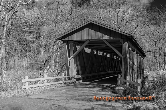 70529ir 11 2022 Kopperhead