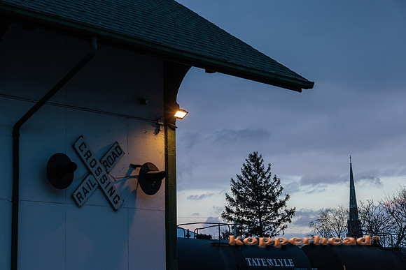 52323 11 2022 Kopperhead