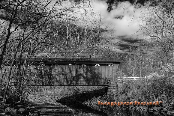 70525ir 11 2022 Kopperhead