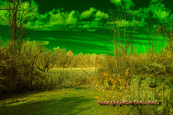 70521ir 11 2022 Kopperhead