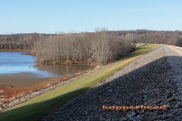 52286 11 2022 Kopperhead