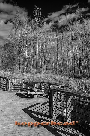 70507ir 11 2022 Kopperhead