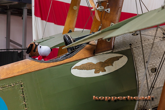 10031 08 2020 Kopperhead