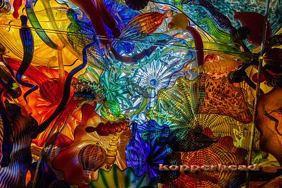 12225 07 2021 Kopperhead