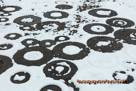 02890 02 2020 Kopperhead