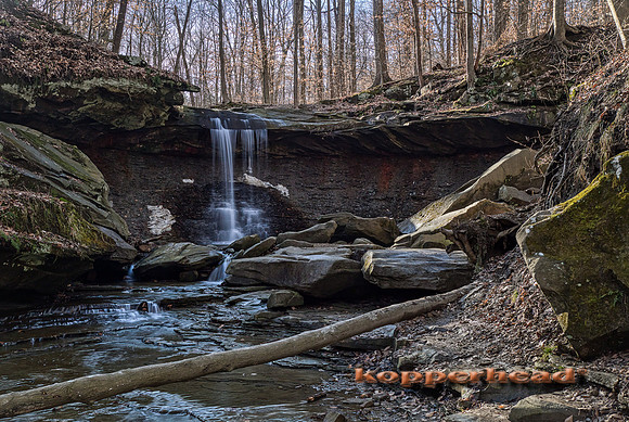 02665aH 01 2020 Kopperhead
