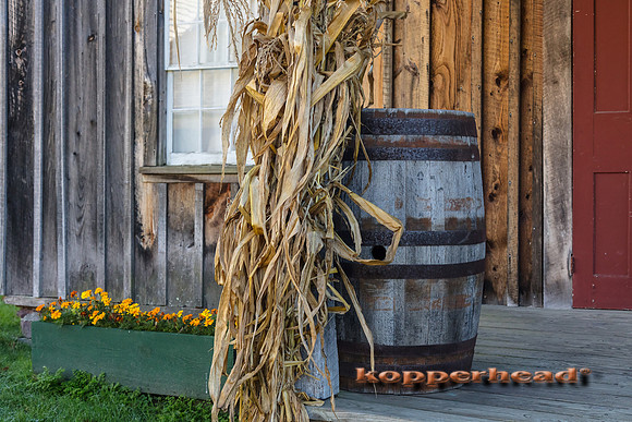 00435 10 2016 Kopperhead