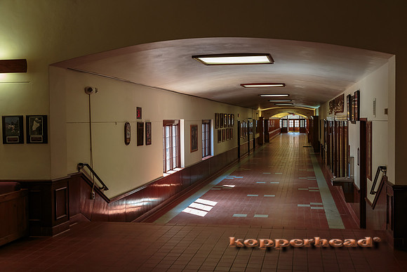 49043 03 2016 Kopperhead