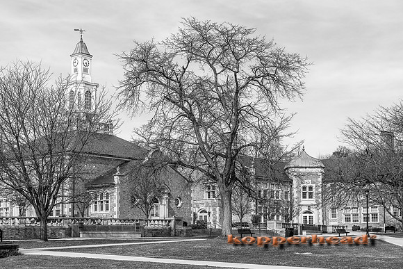 49019 03 2016 Kopperhead
