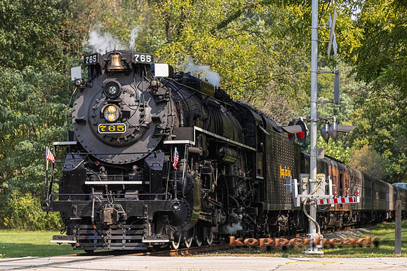 16251 09 2021 Kopperhead